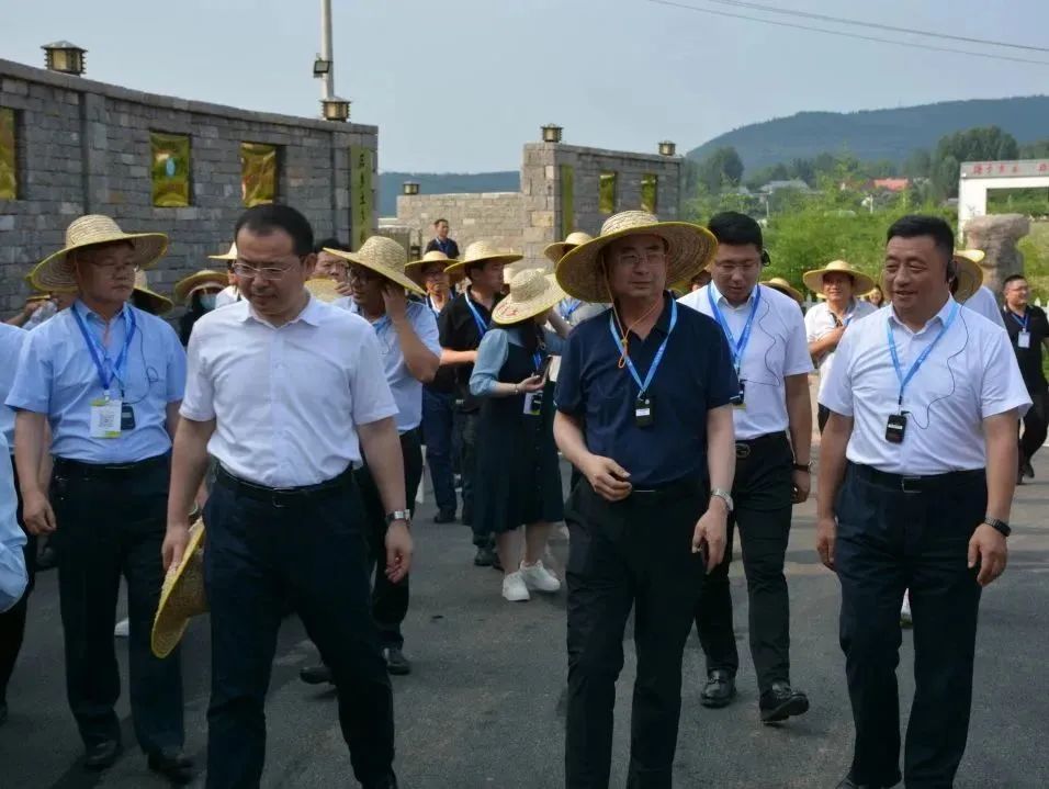  圖片迷路了 ^.^